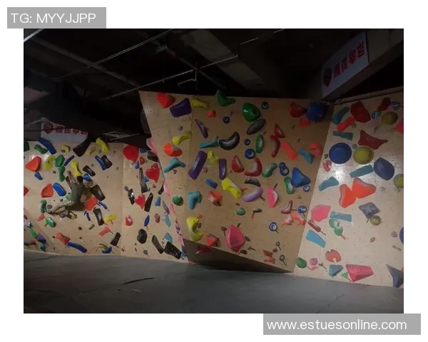 极限运动新手指南：从零基础到极速挑战的全面攻略