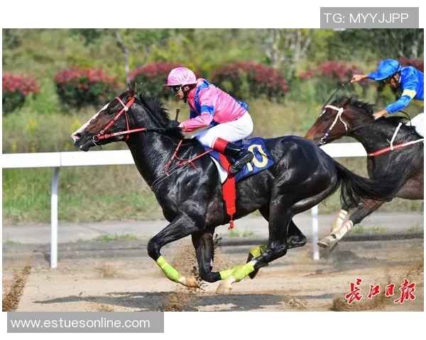 武汉羽毛球队的速度之谜：揭开羽毛球巨献的秘密与魅力